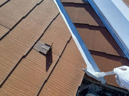 江戸川区　屋根塗装①（高圧洗浄・板金塗装編）